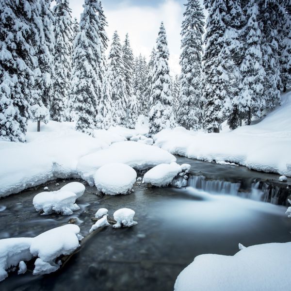 CPatriceMestari-paysagesetnature-46