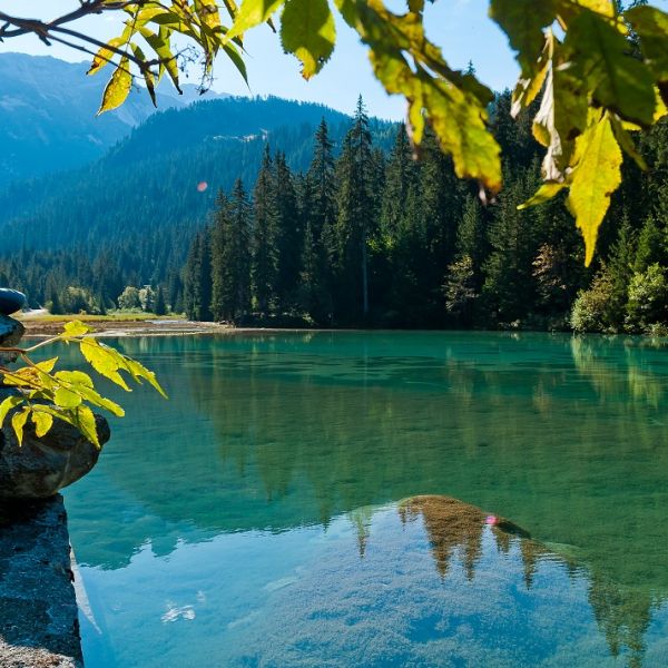 Imagesetreves-paysagesetnatureete-10